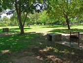 Green gardens at Victoria Falls Rest Camp Green gardens at Victoria Falls Rest Camp - camping Victoria Falls accommodation
