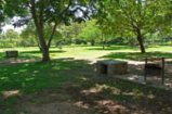 Green gardens at Victoria Falls Rest Camp Green gardens at Victoria Falls Rest Camp - camping Victoria Falls accommodation