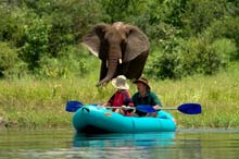 Zambezi River canoe trips are a delight Zambezi River canoe trips are a delight