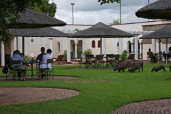 Victoria Falls Hotel swimming pool