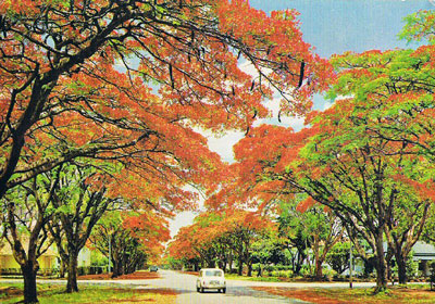 City of Harare