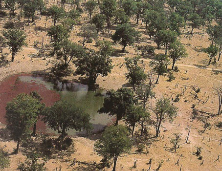 Mana Pools in Zimbabwe