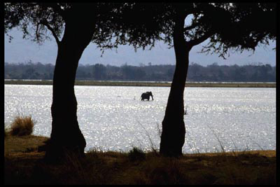 Mana Pools in Zimbabwe