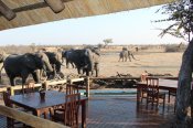 Elephants at the main area at Nehimba Lodge - Hwange National Park, Zimbabwe