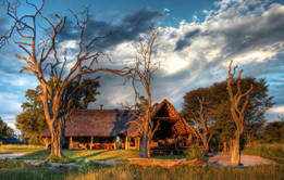 View from outside Bomani Tented Lodge View from outside Bomani Tented Lodge