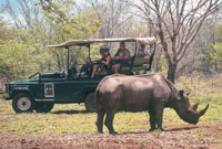 Rhino Encounter Victoria falls Rhino Encounter Victoria falls