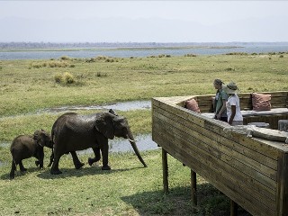 Guests at Ruckomechi Camp - Mana Pools, Zimbabwe Guests at Ruckomechi Camp - Mana Pools, Zimbabwe