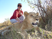 Walk with Lions - Victoria Falls Walk with Lions - Victoria Falls