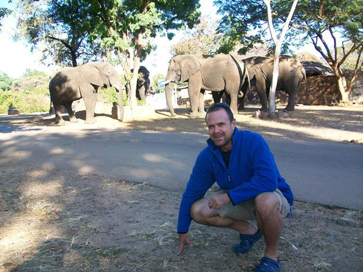 Charles Brightman in front of elephants in Vic Falls town Charles Brightman of Victoria Falls Anti Poaching Unit