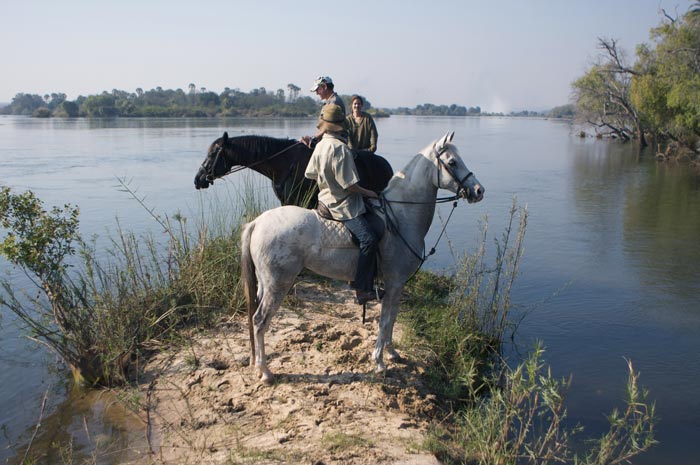 Horse back safari on the banks of Zambezi River