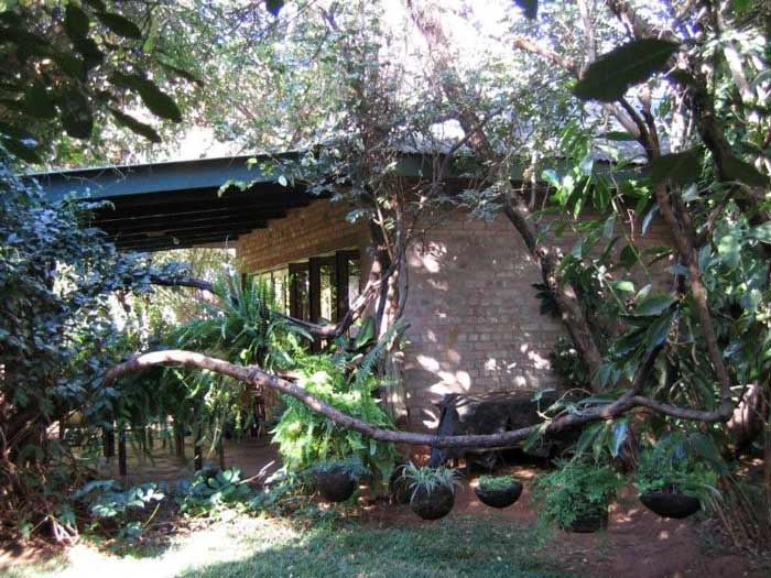 Victoria falls garden