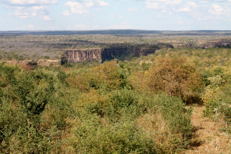 View of the landscape from the property