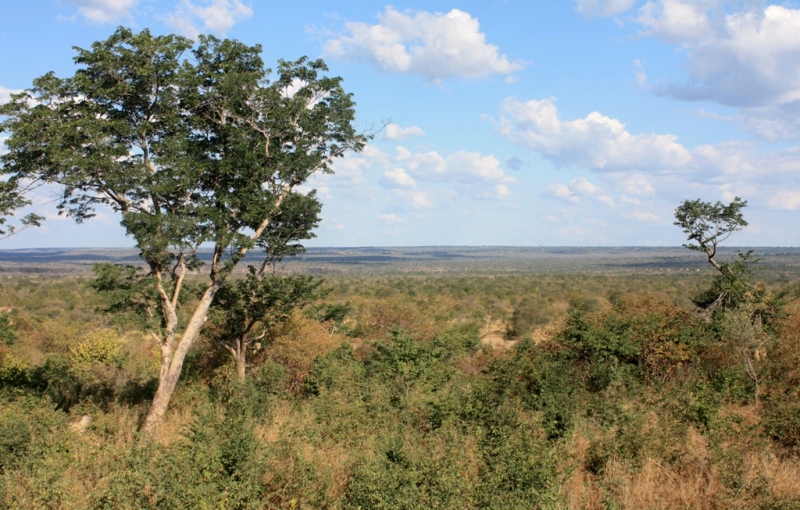 View of the National Park from the property