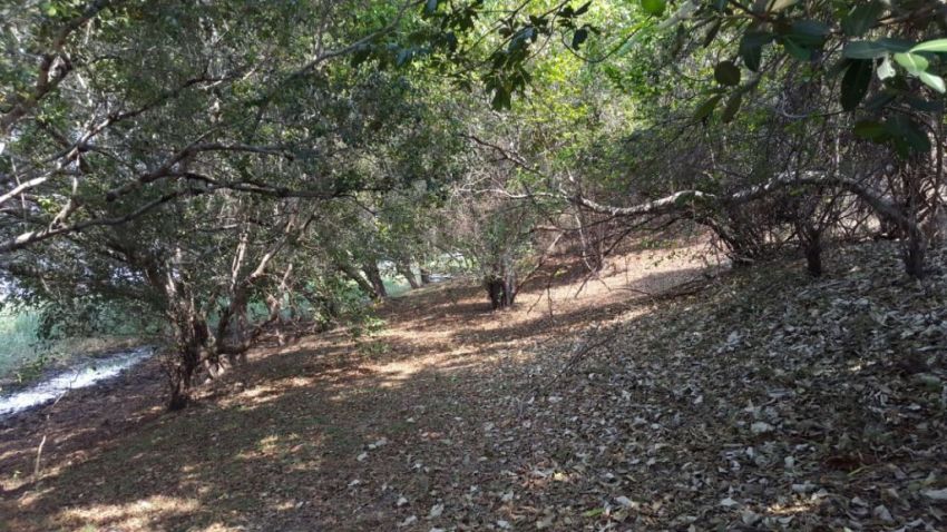 Zambezi River property for sale