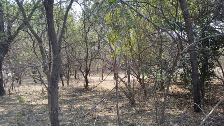 Zambezi River property for sale
