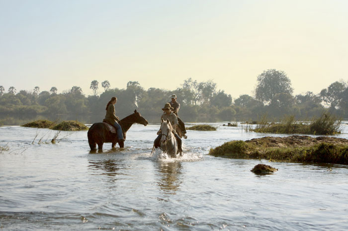 African Horse Safari