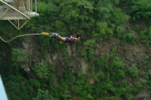 Image result for zambia Bungee jump