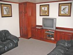 The TV lounge in Catalina Houseboat - Kariba