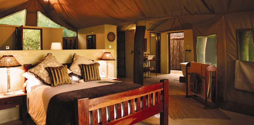 Beautiful deluxe suites