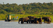 Guests go across the border for a Chobe Day Trip Guests go across the border for a Chobe Day Trip