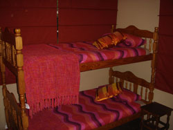 savanna bunks