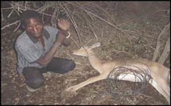 Arrested poacher