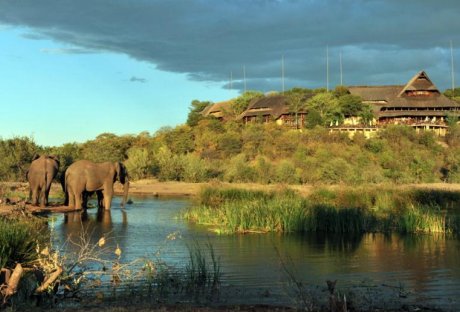 Elephants in front of Victoria Falls Safari Lodge Elephants in front of Victoria Falls Safari Lodge