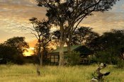 Bomani Tented Lodge - Hwange National Park Elevated tents at Bomani - Hwange National Park, Zimbabwe