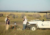 Visitors on a Game drive in Chobe Game drive in Chobe