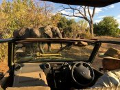 Elephant Valley Lodge Elephant Valley Lodge