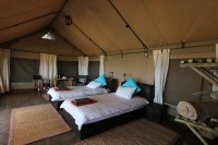 A twin room at Pioneers Camp Pioneers Camp - tented bush camp, Victoria Falls accommodation