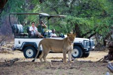 Game Drive in Hwange National Park, Zimbabwe