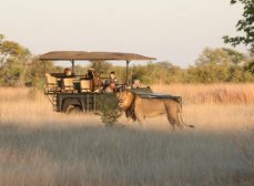 Bomani Lodge night drive on private concession in Hwange - Zimbabwe