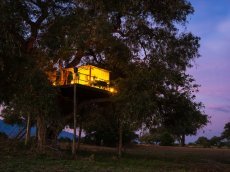 Sleep under the African stars in Mana Pools National Park, Zimbabwe