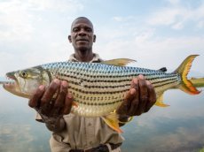 Fishing in Mana Pools National Park, Zimbabwe