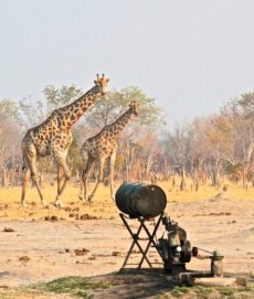 Bomani Lodge pump water into waterholes to help sustain water sources in Hwange - Zimbabwe