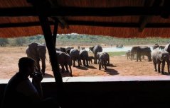 Guests sit by the pan in Hwange - Zimbabwe