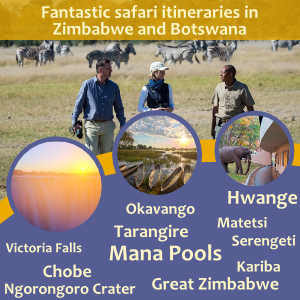 Safari ideas for Victoria Falls, Hwange, Okavango, Mana Pools, Kariba. Ask us for a custom itinerary