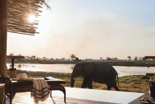 Eagle Island Camp in the Okavango Delta, Botswana
