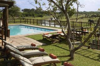 Savute Elephant Camp poolside - Savute, Chobe, Bostwana