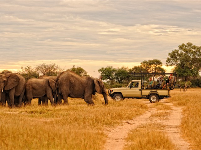 Game drive in Mana Pools National Park, Zimbabwe