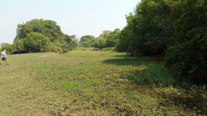 Upper Zambezi River property on the Zambian side of the river facing the Zambezi National Park.