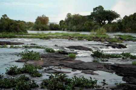 The Zambezi River above the Victoria

Falls