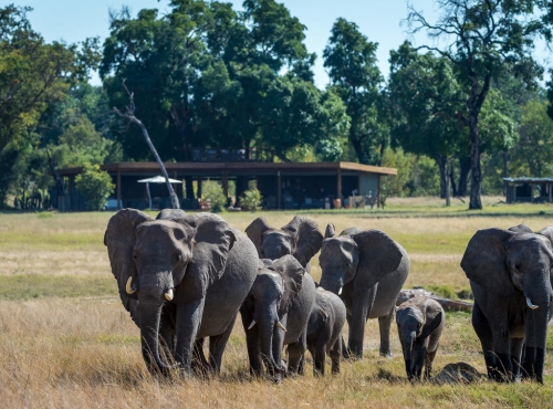 In front of a room at Davisons Camp - Hwange National Park, Zimbabwe