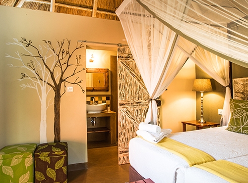 Robins Camp - Hwange