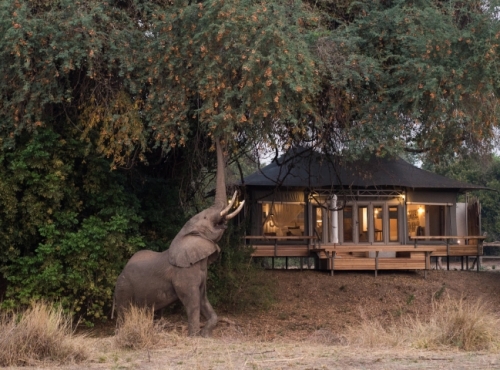 Chikwenya Camp - Mana Pools, Zimbabwe