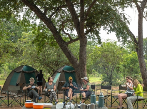 Budget Camping Safari - Chobe, Botswana