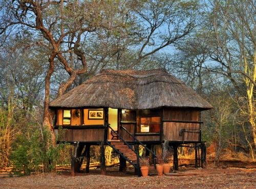 Ivory Lodge - Hwange