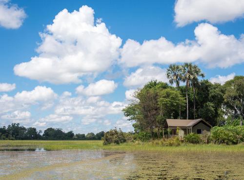 Tented guest room at Jacana Camp in the Okavango Delta