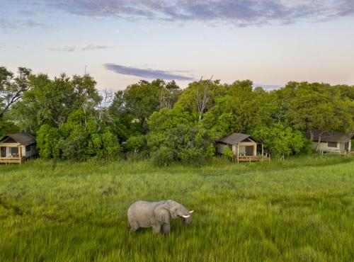 Little Sable luxury safari camp in the Okavango Delta, Botswana